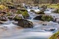 Misty Mountain stream Royalty Free Stock Photo