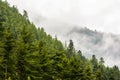 Misty Mountain Top in Paro, Bhutan Royalty Free Stock Photo