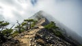 Misty Mountain Trail with Pine Trees and Stone Steps Royalty Free Stock Photo