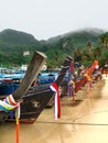 Long tail boats at Ko Phi Phi