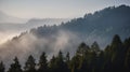 Misty mountains with fir forest in fog, foggy trees in morning light Royalty Free Stock Photo
