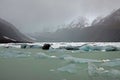 Aoraki Hoeker Valley small icebergs glacier lake in New Zealand