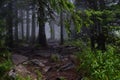 Misty and mysterious forest. The Mountain ` Zyuratkul.` Ural. Autumn