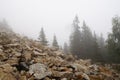 Misty and mysterious forest. The Mountain ` Zyuratkul.` Ural. Autumn