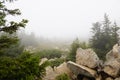 Misty and mysterious forest. The Mountain ` Zyuratkul.` Ural. Autumn