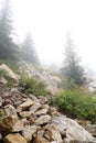 Misty and mysterious forest. The Mountain ` Zyuratkul.` Ural. Autumn