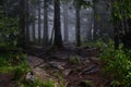 Misty and mysterious forest. The Mountain ` Zyuratkul.` Ural. Autumn