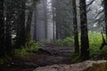 Misty and mysterious forest. The Mountain ` Zyuratkul.` Ural. Autumn