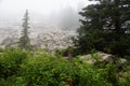 Misty and mysterious forest. The Mountain ` Zyuratkul.` Ural. Autumn