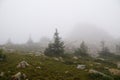 Misty and mysterious forest. The Mountain ` Zyuratkul.` Ural. Autumn