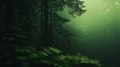 Misty Night in the Enchanting Depths of the Swaying Forest: A Se