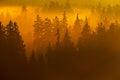 Misty orange morning landscape. Sun during sunrise in Czech national park Ceske Svycarsko. Beautiful landscape with forest and fog