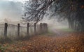Misty path in the park on early foggy autumn morning. Old fence, autumnal trees and road going into perspective disappearing in f Royalty Free Stock Photo
