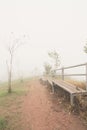 Misty pathway and fence in pastel style