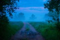 Misty Pathways: Enchanting Gravel Dirt Country Road in a Summer Morning Fog