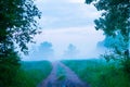 Misty Pathways: Enchanting Gravel Dirt Country Road in a Summer Morning Fog