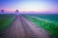 Misty Pathways: Enchanting Gravel Dirt Country Road in a Summer Morning Fog