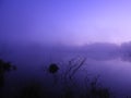 Mist in shades of purple as dawn breaks over swamp