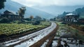 Misty Rain in Agriculture Land and Raw Mud Path in Urban Village Background