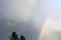 Misty rainbow on a hazy day in a tropical location with palm trees