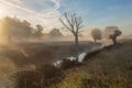 Misty Richmond Park with early morning sun rays. Royalty Free Stock Photo