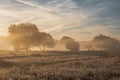 Misty Richmond Park with early morning sun rays. Royalty Free Stock Photo