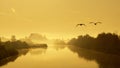 Misty River In Autumn Morning Royalty Free Stock Photo