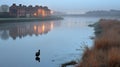 Misty River Dawn Houses Reflect, Bird Lone Royalty Free Stock Photo