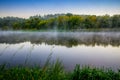 Misty river at dawn Royalty Free Stock Photo