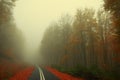 Misty road in the forest Royalty Free Stock Photo