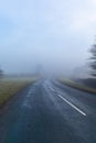 Misty road leading to anywhere