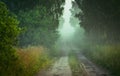 Misty road