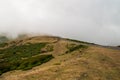 Misty road on Madeira Royalty Free Stock Photo