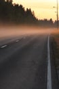 Misty road in sunny summer evening Royalty Free Stock Photo