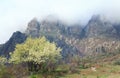 Misty rocky mountain