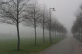 A misty roud wih street lamps and trees Royalty Free Stock Photo