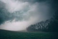 Misty scenery with fog over a green field