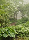 Misty shade garden with trellis Royalty Free Stock Photo