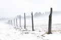 Misty, snowy, morning in a field featuring rustic wood fence posts.