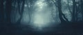 Misty spooky forest background, scary trees in horror fog woods Happy Halloween. Royalty Free Stock Photo