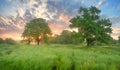 Misty spring morning. Green grass on valey.