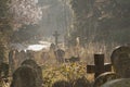 A misty spring morning in Southampton Old Cemetery