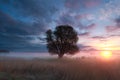 Misty spring sunrise in countryside