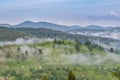 Misty summer morning landscape over Bucovina village. Green fild meadows covered in mist with fir forest mountains in background a Royalty Free Stock Photo