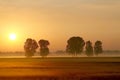 Misty summer sunrise with trees on a field Royalty Free Stock Photo