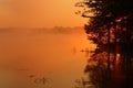 Misty Sunrise at Locust Lake State Park Royalty Free Stock Photo