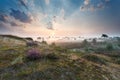 Misty sunrise over dunes with flowering heather Royalty Free Stock Photo