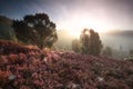 Misty sunrise over hills with flowering heather Royalty Free Stock Photo