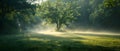 Misty Sunrise Over Serene Summer Meadow. Concept Nature Photography, Landscape Scenery, Atmospheric