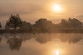 Misty sunrise over wild lake in summer. Morning fog over pond landscape